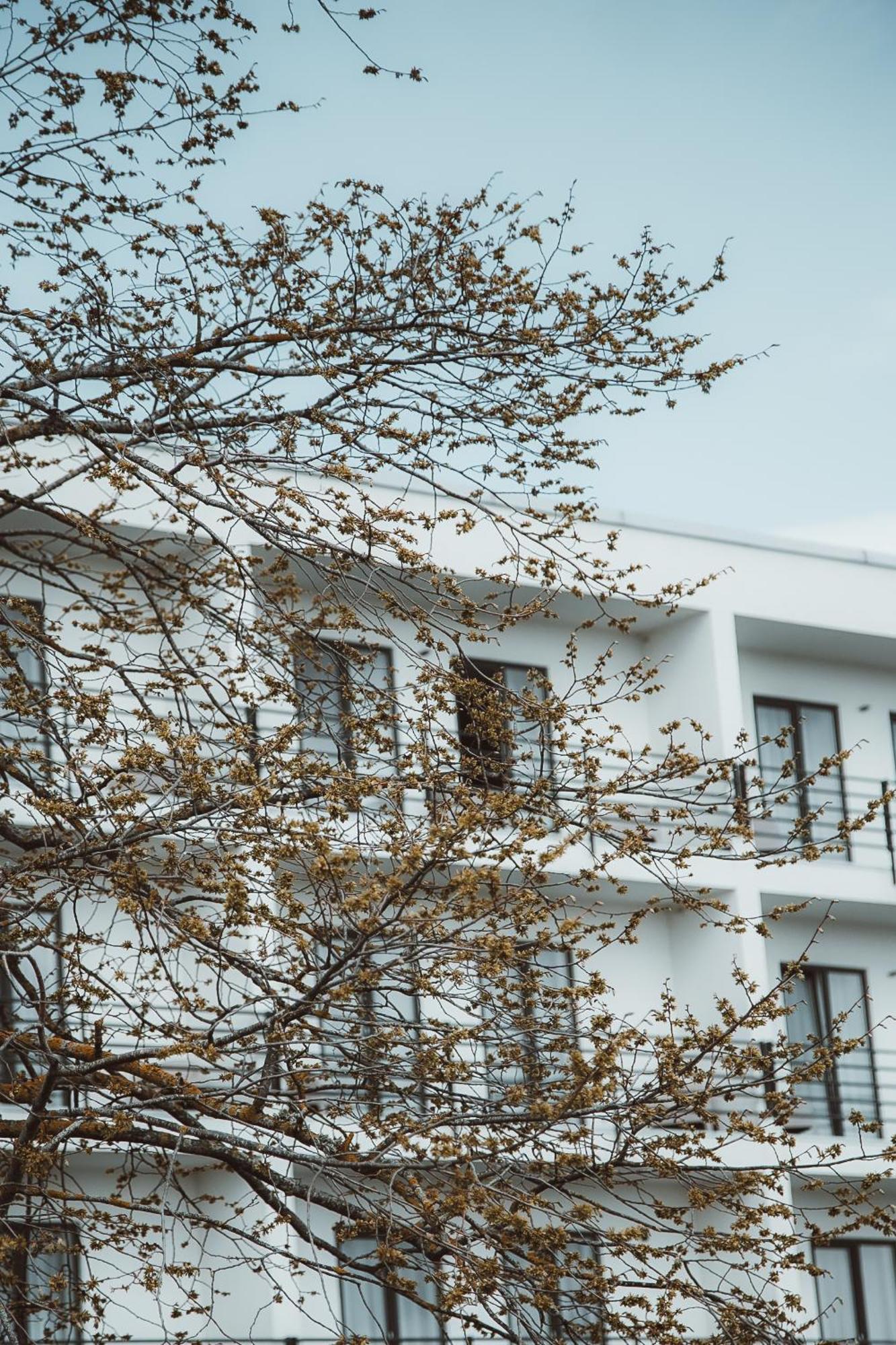 Oe Seaside Suites & Spa Kuressaare Exterior foto